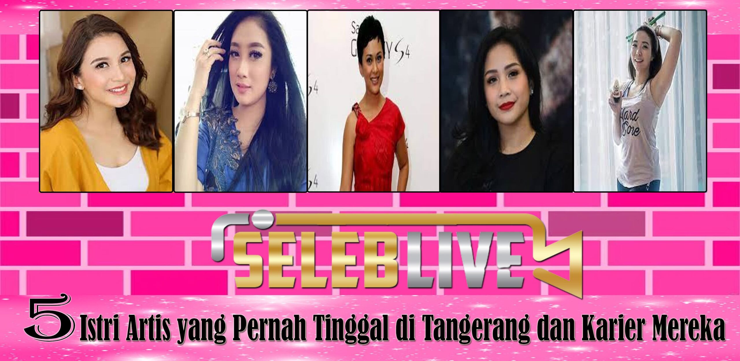 5 Istri Artis